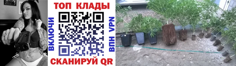 Магазины продажи наркотиков Лагань Cocaine  А ПВП  АМФЕТАМИН  Меф  mega зеркало  Гашиш 