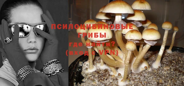дмт Алзамай