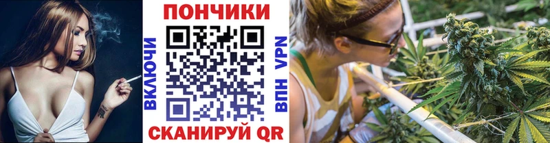 наркота  Лагань  Шишки марихуана индика 